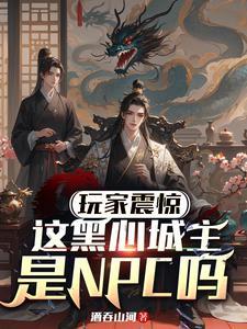 玩家震惊:这黑心城主是NPC吗 玩家震惊:这黑心城主是NPC吗